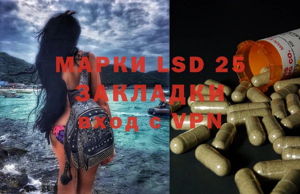 спайс Липки